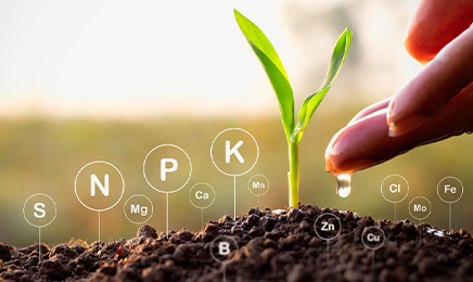 Fertilizers